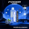 Frozen Blueberry
